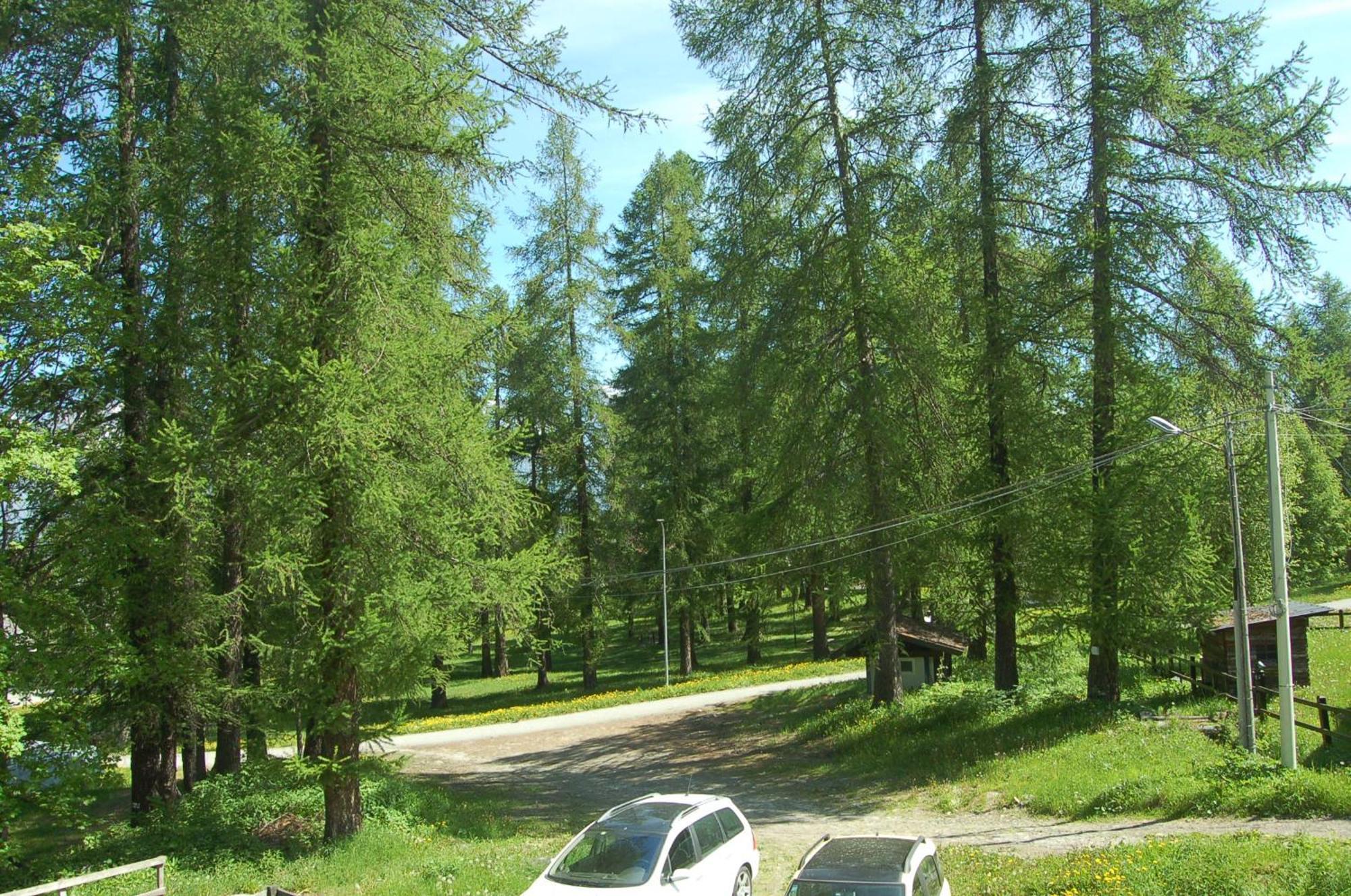 Appartamento Montagna Che Passione Chiomonte Esterno foto