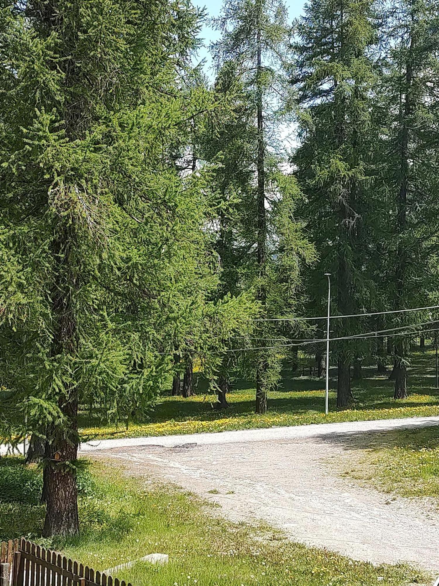Appartamento Montagna Che Passione Chiomonte Esterno foto